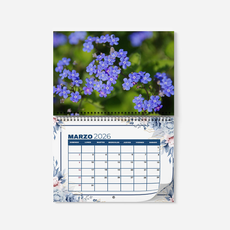 Calendario de pared con espiral al centro